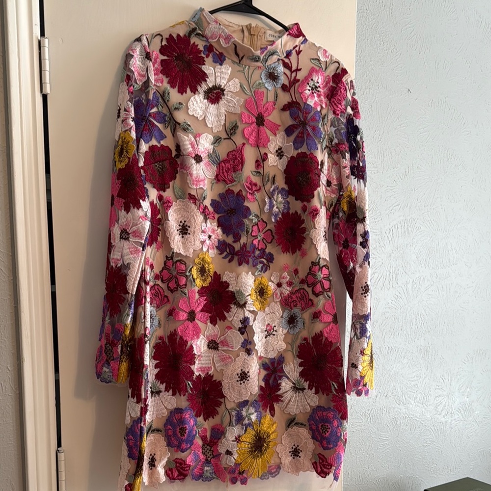 Floral Embroidered Long Sleeve Dress